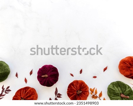 Autumn composition with various colors velvet pumpkins and dry branches and leaves on white background. Autumn, fall, halloween concept. Flat lay, top view, copy space