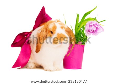 Cute bunny with red silk bow near pink pot