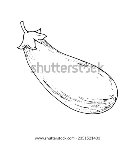 Eggplant graphic drawing. Illustration for menu, cafe and kitchen decor Royalty-Free Stock Photo #2351521403