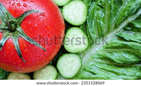 Macro photo red tomato and cucumbers on leaf of salad. Background.