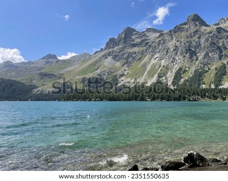 View of Lake Sils, Switzerland, from the shore, on a clear summer day, mountains in the distance .