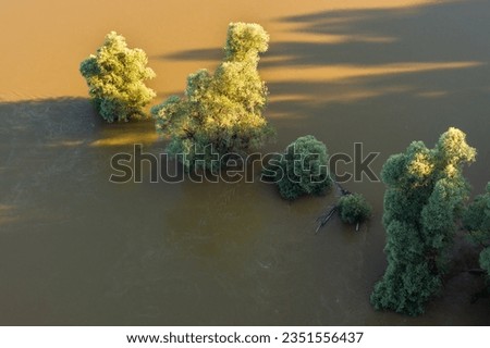 Aerial photo of the natural flooding Drava River at the border of Hungary and Croatia, surrounded by the forest. Sunny day, aerial shot.