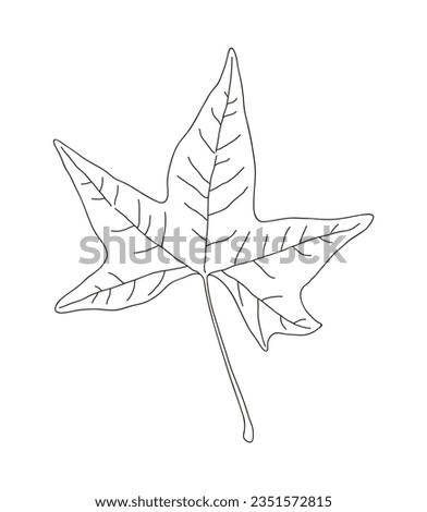 Hand drawn illustration of fallen leaves from trees in fall season. Foliage of various colors is produced.