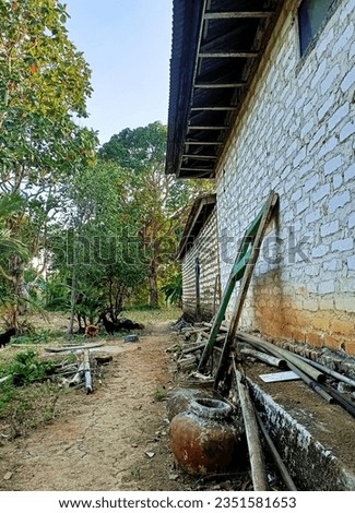 portrait of the back of a simple house where the atmosphere is full of calm and coolness in the morning. coupled with the presence of ancient barrels, damaged ancient doors, some pieces of dry bamboo