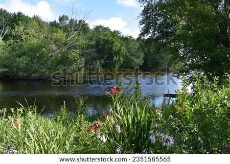 Summer in Burlington, Wisconsin, Flowers near the Fox River