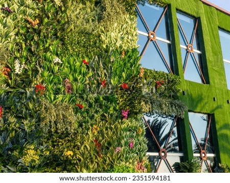 Facade of the building in greenery. Decorating works. The wall of the building is covered with artificial flowers and plants. Building reconstruction. Beautiful facade. Royalty-Free Stock Photo #2351594181