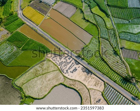 Bird's eye view. aerial view farm. Beautiful field sown with agricultural crops and photographed from above. top view agricultural landscape areas the green and yellow rice fields.