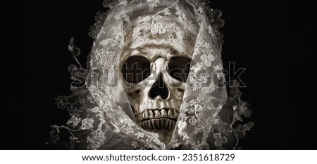 A haunting photo captures the skull of a bride adorned with a veil, set against dark background for Halloween concept