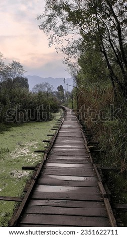 Best thing about a bridge is that it reflects Hope through Connection... 
Location: Interiors, Dal Lake, Srinagar, Kashmir. 