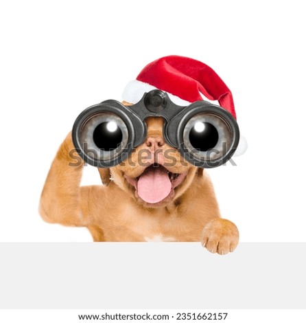 Happy mastiff puppy wearing santas hat looks through binoculars above empty white banner. Isolated on white background