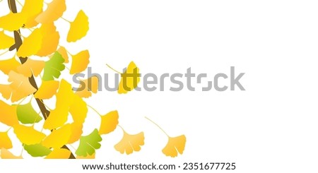 Autumn Color Ginkgo Leaves Background
