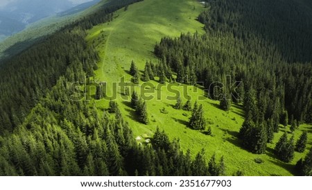 Aerial photography of mountains or mountainous terrain covered with green forests and fir trees in clear summer weather. Relief of the Earth's surface with forests, meadows. The Carpathians of 2023.