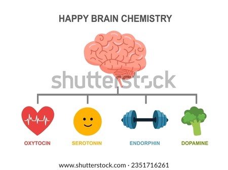Happy brain chemicals in flat design on white background. Royalty-Free Stock Photo #2351716261