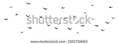 Set of fly birds silhouettes. Flock flying birds isolated on white background. Vector illustration.