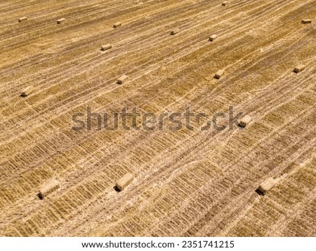 Harvested field with straw bales. Agriculture background with copy space. Summer and autumn harvest concept