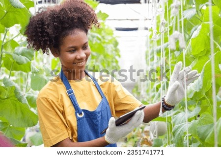 Beautiful smiling black female farmer holding a tablet working in a greenhouse planting sweet fruit melons. concept of modern agriculture