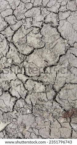 a photography of a cracked surface with a small amount of dirt, hatchet in the mud of a dry field with a small insect.
