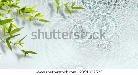 green bamboo plant on transparent fresh raindrop water surface, beautiful spa background wallpaper decoration with asian spirit for travel, cosmetics and vacations Royalty-Free Stock Photo #2351807523
