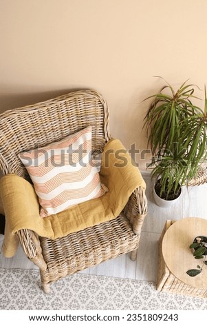 Comfortable wicker armchair and houseplant near beige wall