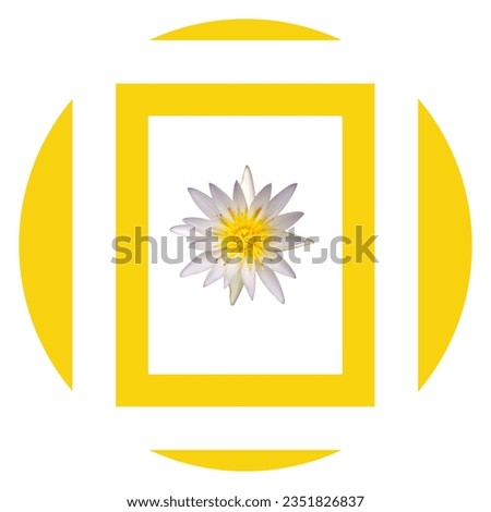 Floral background for design or advertisement