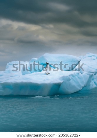 A penguin standing on the glacier Royalty-Free Stock Photo #2351829227