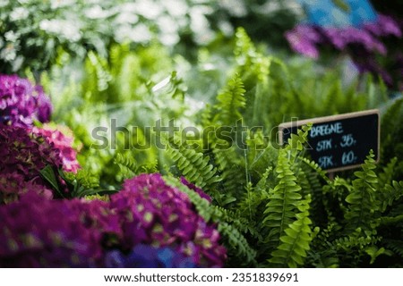 Floral picture from the market