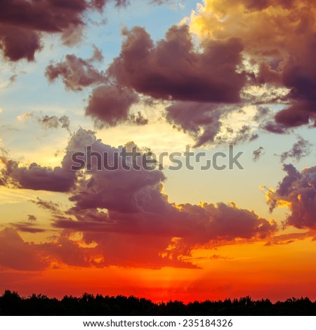 Bright picture.Beautiful landscape with sunset 