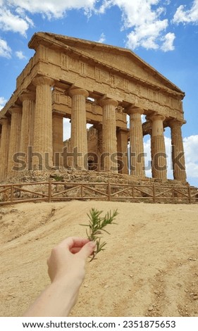 Agrigento, Valley of Temples. Hand holding rosemary plant with antic temple on the background. Italy, Sicily. Mobile picture with blurry boke effect