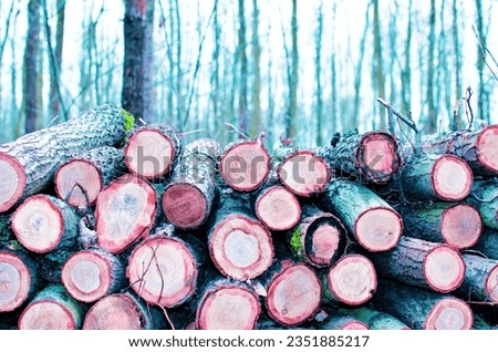 Cutting wooden stocks skilled individuals may carefully fell trees and process the logs into stock blanks.
