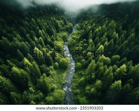 A Drone Shot of A Forest Royalty-Free Stock Photo #2351903203
