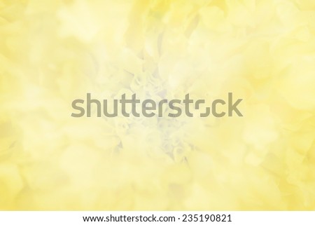 style Beauty flower with color filters background