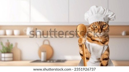 Red cat - a cook on the background of the kitchen. Copy space.