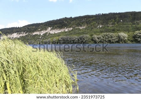 A river with grass and trees