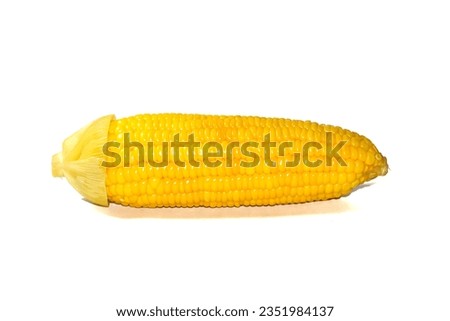 Photo sweetcorn in isolated picture put on white background.sweetcorn ready for eat.