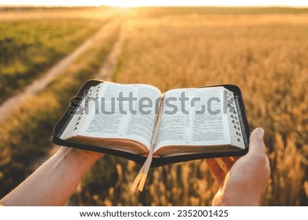 Open bible in hands, wheat field and road, christian concept. Royalty-Free Stock Photo #2352001425