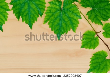 vine leaves on a board combines a natural beauty for the background