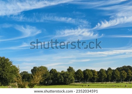 Cirrus clouds in curly hooks. Latin name is cirrus uncinus. Royalty-Free Stock Photo #2352034591