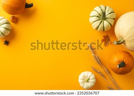 Festive fall array: Top view picture capturing pumpkins, gourd, pattipans, wheat, maple leaf, anise. Decorated with physalis flower on an orange backdrop, leaving space for text or ads
