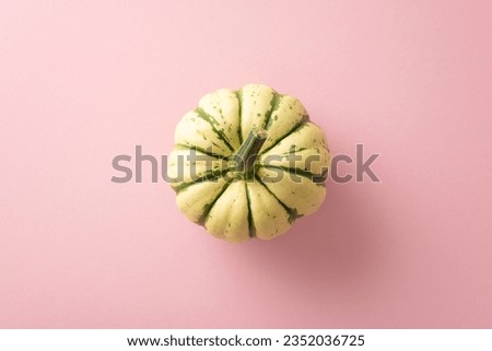 Immerse in the autumn harvest ambiance. Top-down view picture reveals ripe pumpkin on a pastel pink isolated background, providing copy-space for text or ads to encapsulate the fall concept