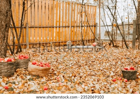 basket full of apples, concept of harvest and autumn on veranda of country house, sustainable eco friendly lifestyle, organic harvesting in garden Royalty-Free Stock Photo #2352069103