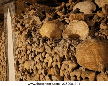 Thousands of skulls and bones in the Catacombs in Paris from the 17th century. 