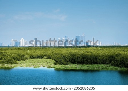 Mangroves in Persian Gulf, United Arab Emirates against backdrop of skyscrapers (white houses) of Abu Dhabi like snowy mountains. Successful case of combining natural and urban environment Royalty-Free Stock Photo #2352086205