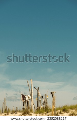 Skull flag Pirate cove landscape photo