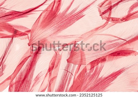 Abstract nature pattern of flower petals red color, natural texture leaf as natural background or backdrop. Macro texture, colored aesthetic photo with veins of petals, trend botanical design.