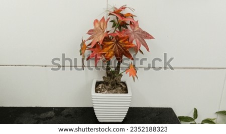 synthetic flowers used as decoration in the toilet