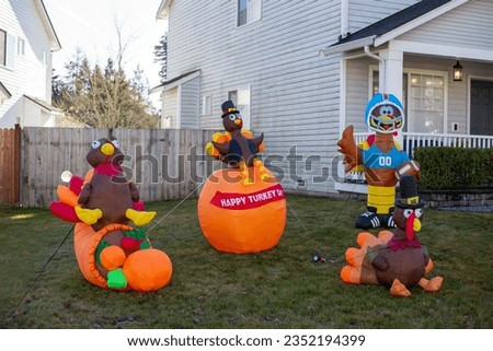 Inflatable turkeys figures in the yard. Thanksgiving decoration. Traditional Thanksgiving yard decor. Turkey shape balloons