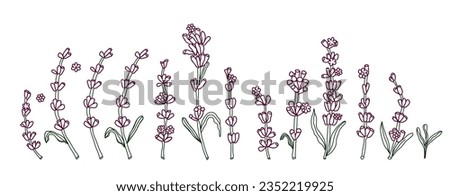 Lavender line art flower clip art. Vector hand drawn floral violet and green color illustration for card or invite design 
