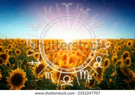 Zodiac wheel and beautiful view on field of blooming sunflowers