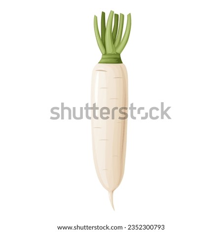 Daikon radish with green stem. Horseradish rhizome plant. Royalty-Free Stock Photo #2352300793