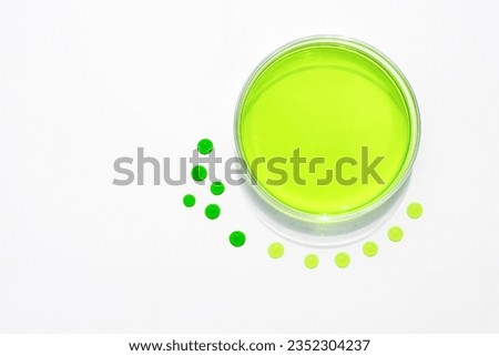 Petri dish with yellow-green liquid and drops on a white background. Scientific concept